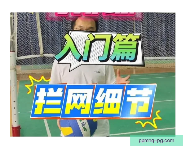 排球入门：从零开始学习排球技术和规则
