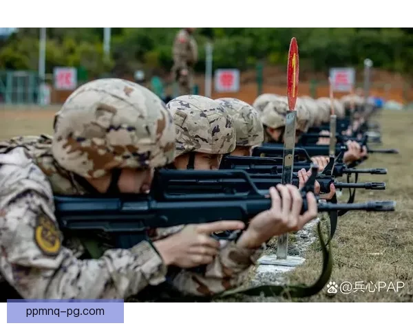 掌握射击技巧，提升射击水平
